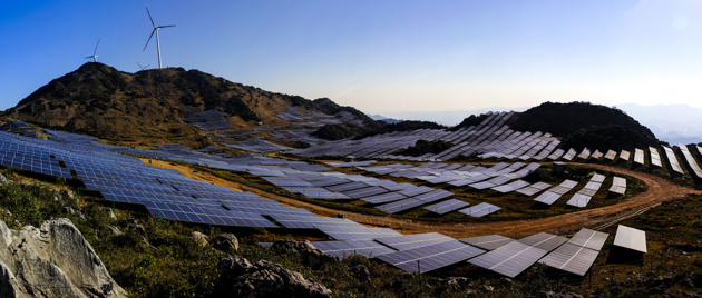 ____501567221_wx___________.thumb_head