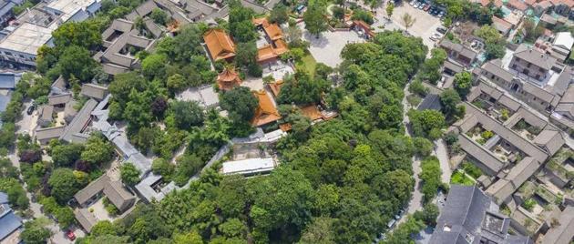 Kzubjxrpjy1644922969262.thumb_head