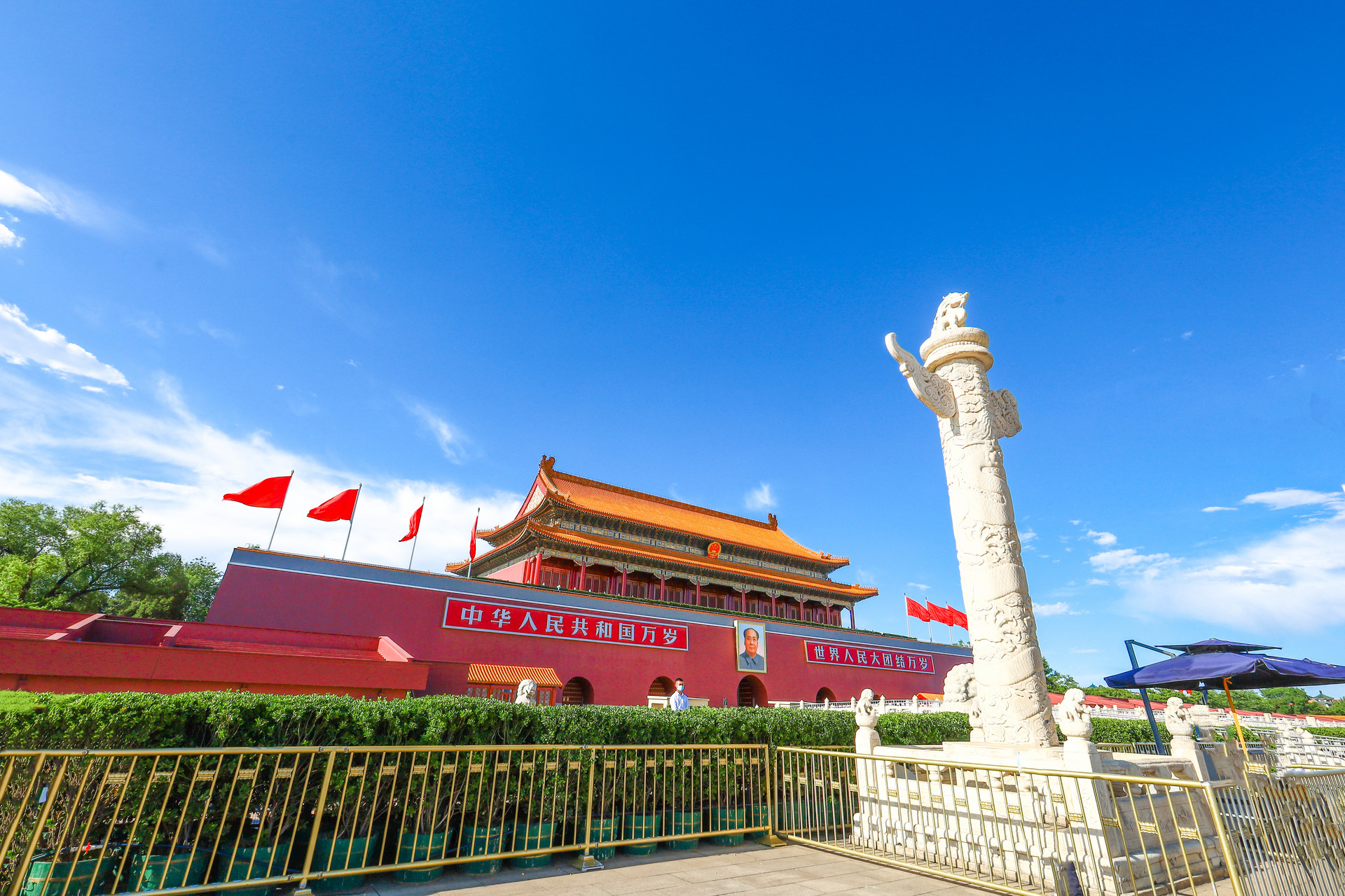 Ghaxpnlrxz1645150079496