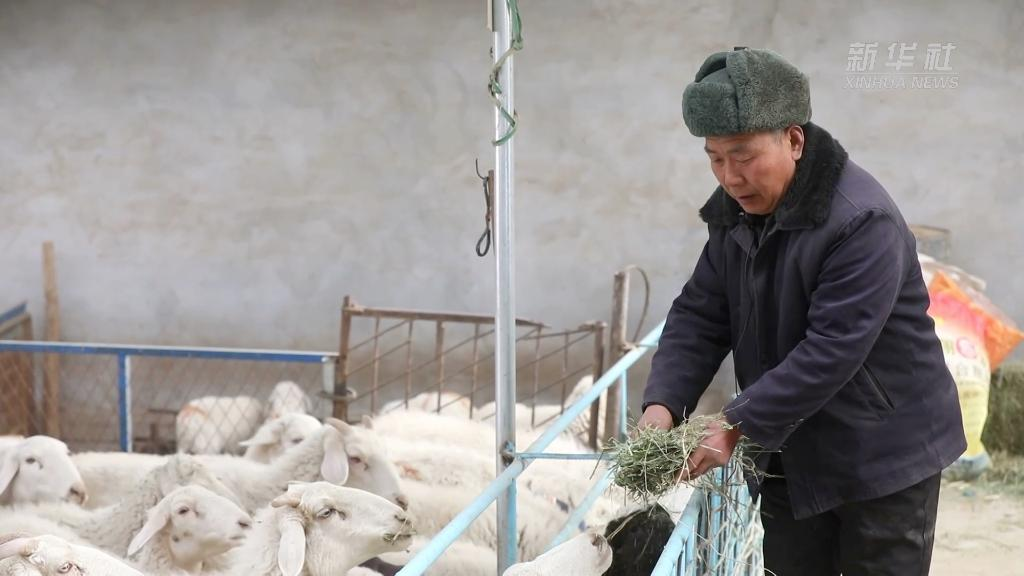 Erewggkgox1645602363554