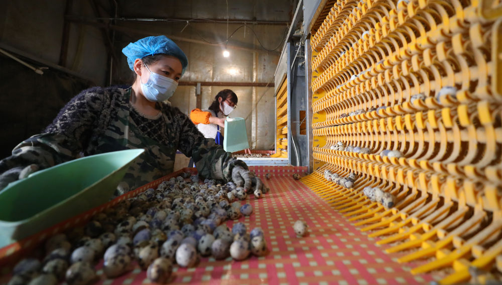 Hyaynqyotj1645602668493