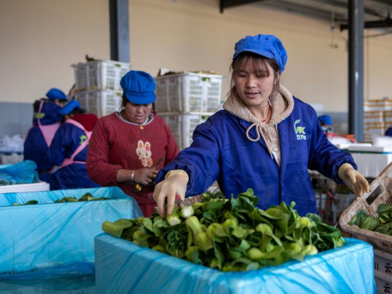 Upload_1647503825534