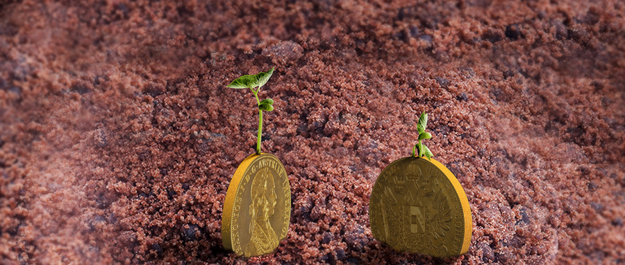 Kjpaegsjsl1648105151222