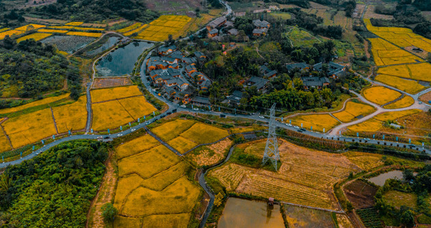 Iqcspmltdo1651217421294.thumb_head