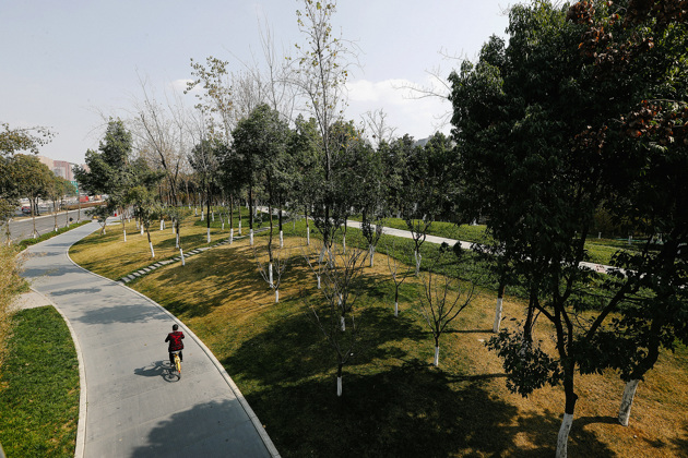 Suwdxrnhor1655445302288.thumb_head