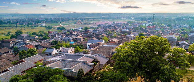 Ixgtfircsv1682683434432.thumb_head