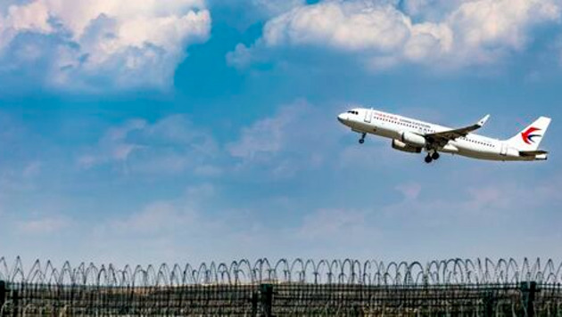 Upload_1737756669060.thumb_head