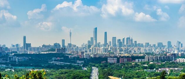 Rwdogtdcso1761917235684.thumb_head