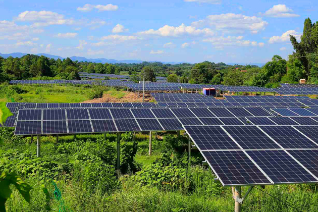 _________3.thumb_head