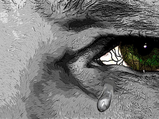 Upload_1516792350765.thumb_head