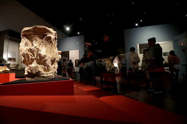 Wechatimg18.thumb_head