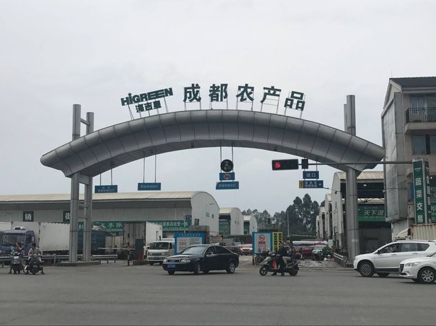 Qq__20180625190256.thumb_head