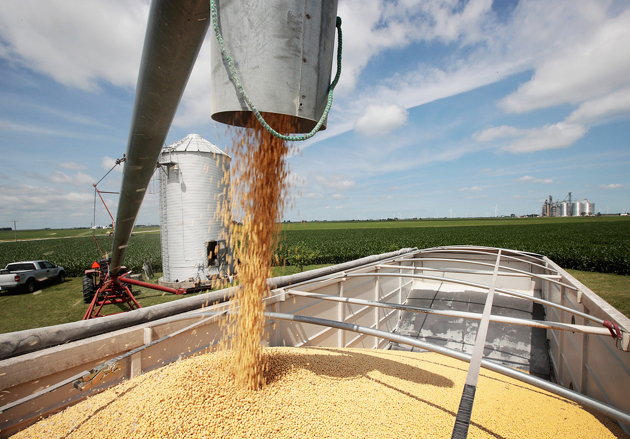 _____________.thumb_head