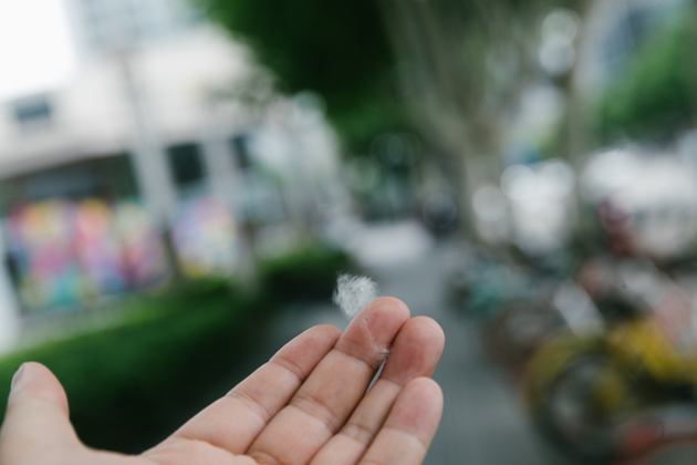 _____20190509211345.thumb_head