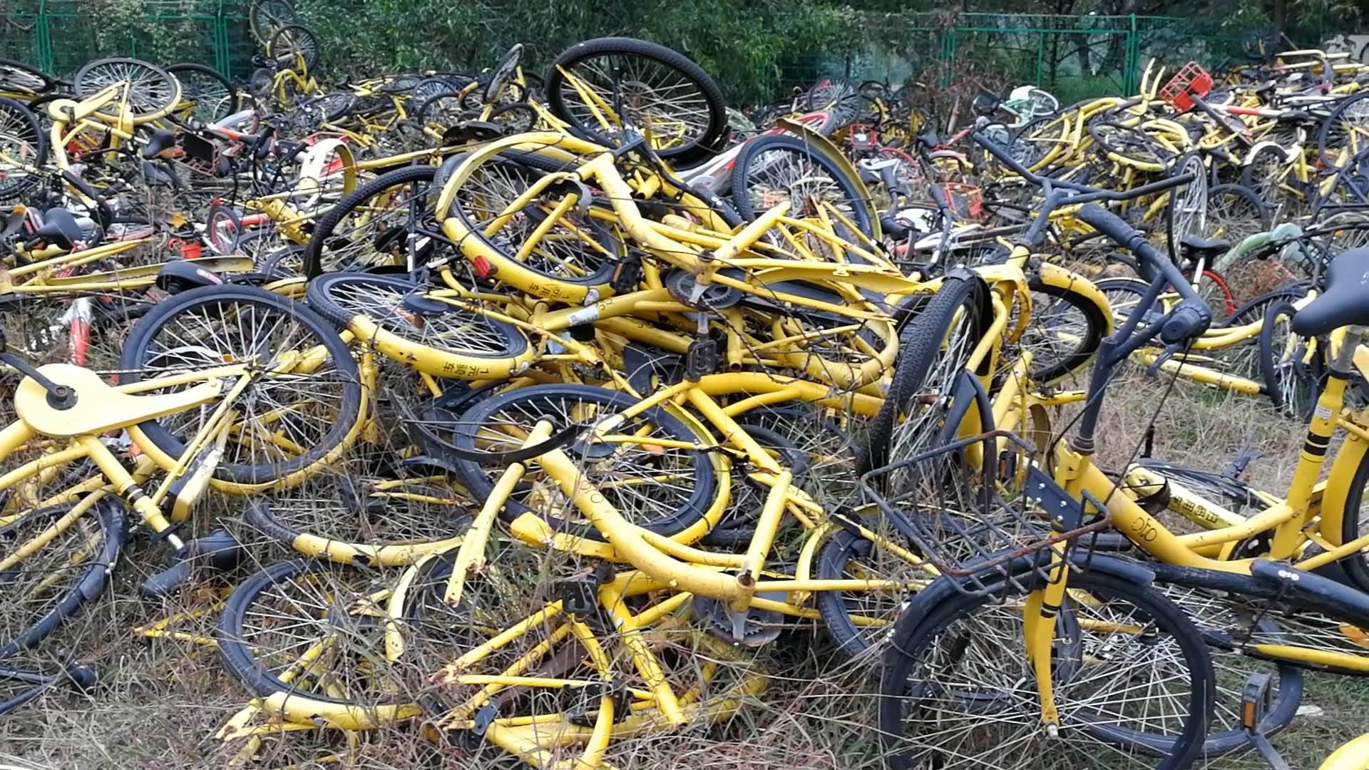 ______________ofo________