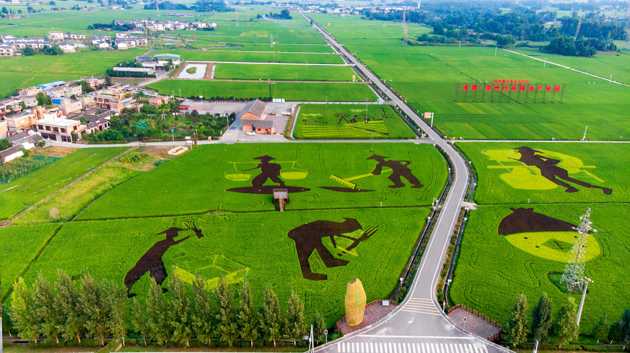 _____20191225111929.thumb_head