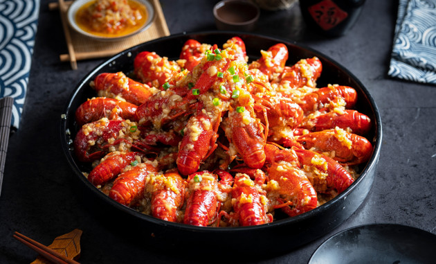 ____501345023_banner.thumb_head