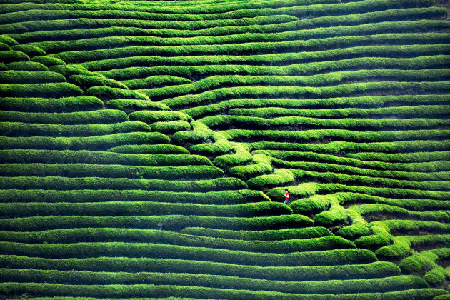 __________-500229712.thumb_head