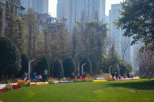 2021_2_6____________.thumb_head