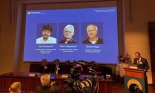 2026年诺贝尔生理学或医学奖花落光遗传学，国内多条眼科治疗管线已进入临床试验