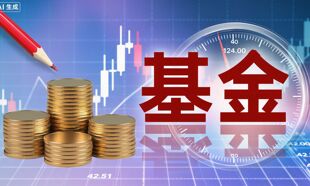首批10只科创债场外指数基金获批；大成基金戴军调研飞龙股份