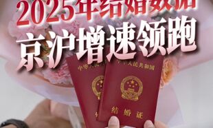 31省份2025年结婚数据 京沪增速领跑