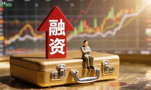 战略合作黑蚁资本，野人先生完成首轮融资
